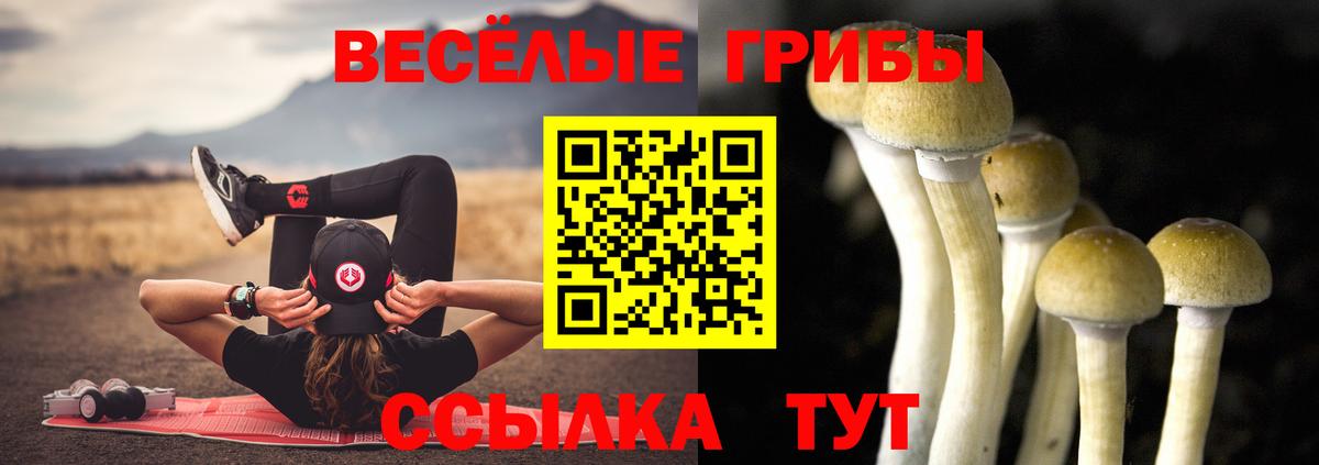 Черногорск  Псилоцибиновые грибы Cubensis  Вход с VPN 